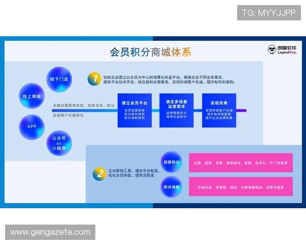 凯发在线官网会员制度与积分奖励机制全面解析与优化建议
