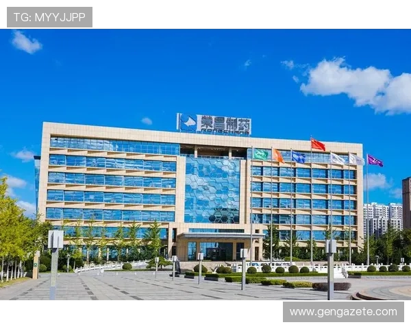 凯发k8国际首页登录安全保障措施，保障用户个人信息与资金安全，放心畅玩每一场游戏