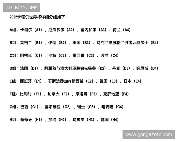 世界杯新西兰比利时官方购票指南：详细流程与注意事项全解析
